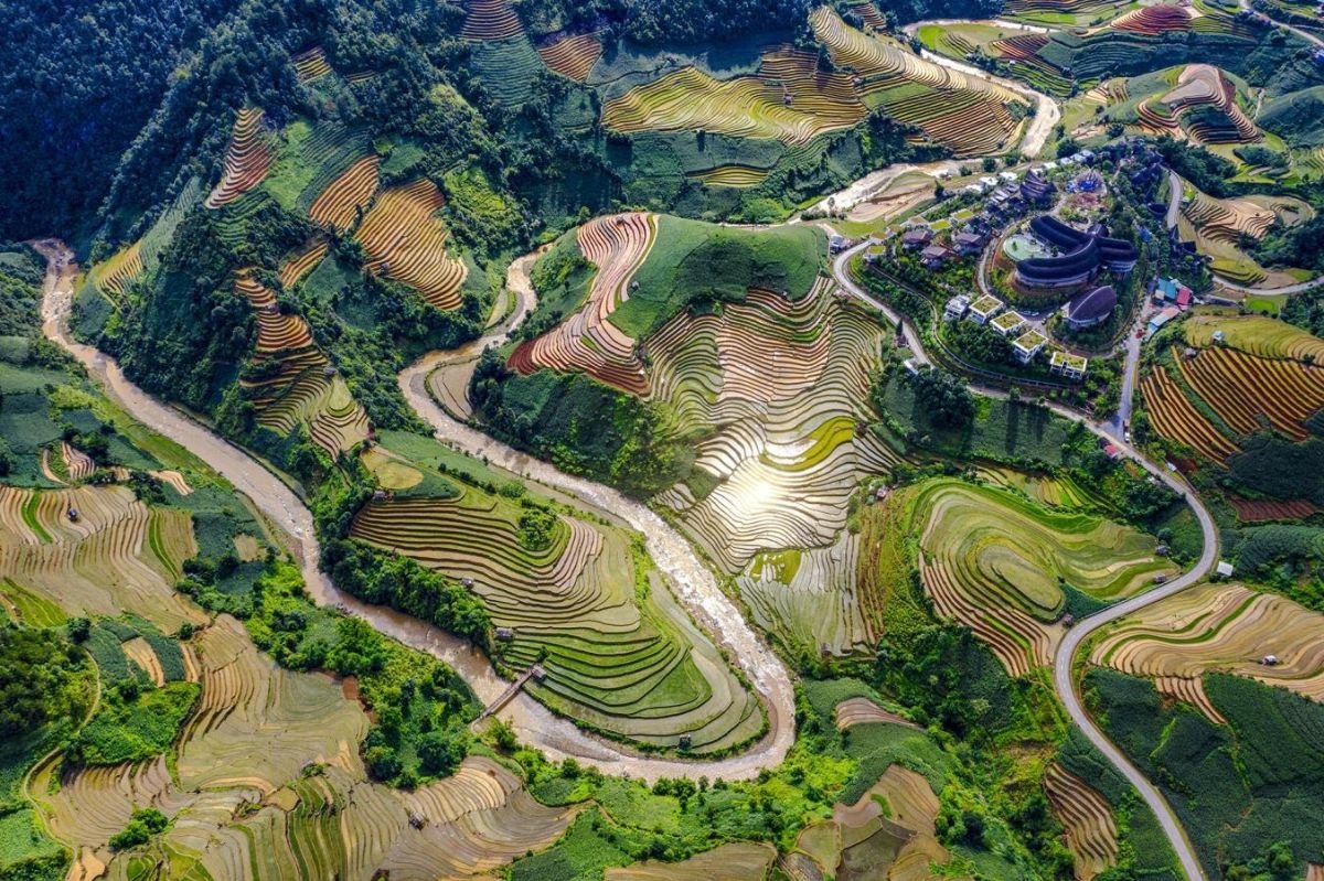 The Golden Path: Why a Mu Cang Chai Private E-bike Tour is the Ultimate Luxury Adventure